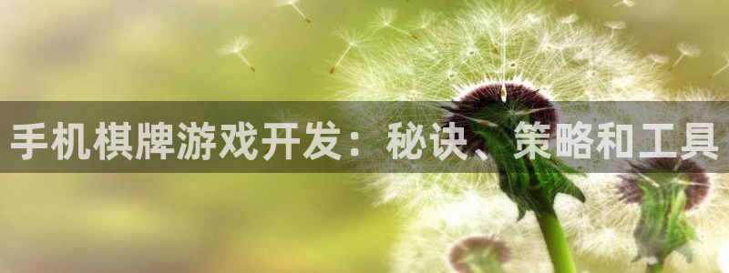沐鸣娱乐2多彩平台
