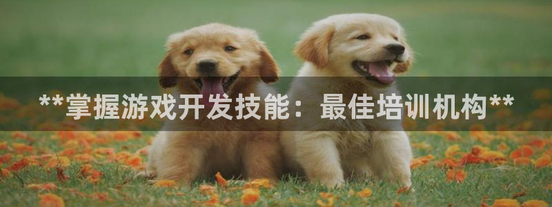沐鸣娱乐2登录平台是什么