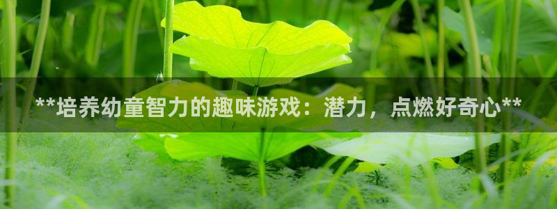 沐鸣2平台开户