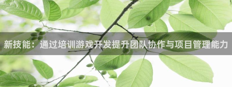 沐鸣娱乐2：新技能：通过培训游戏开发提升团队协作与项目管理能力