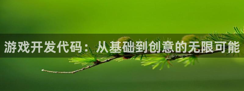沐鸣2购35994胀：游戏开发代码：从基础到创意的无限可能