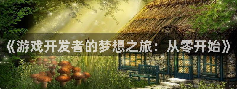 沐鸣娱乐2在线注册：《游戏开发者的梦想之旅：从零开始》