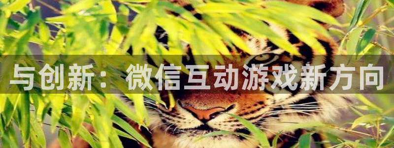 沐鸣2注册登入：与创新：微信互动游戏新方向