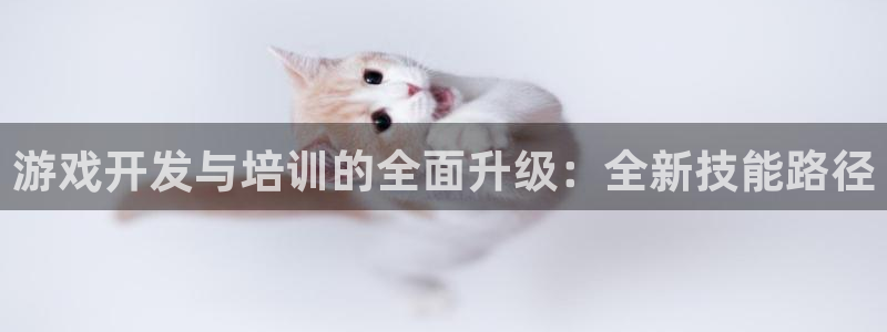 沐鸣2注册开户：游戏开发与培训的全面升级：全新技能路径