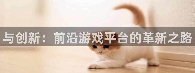 沐鸣2多少年：与创新：前沿游戏平台的革新之路