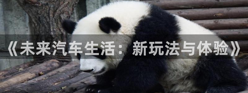 沐鸣2注册登录地址：《未来汽车生活：新玩法与体验》