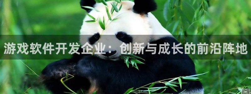 沐鸣娱乐2注册官网：游戏软件开发企业：创新与成长的前沿阵地