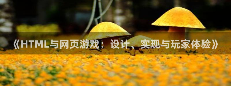 沐鸣娱乐2手机下载官网：《HTML与网页游戏：设计、实现与玩家体验》