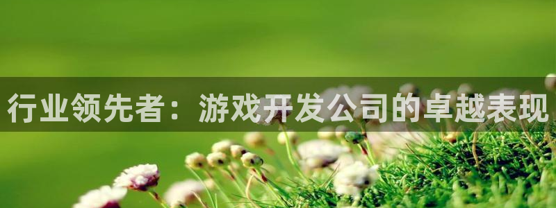 沐鸣2登录地址：行业领先者：游戏开发公司的卓越表现