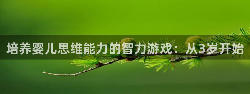 沐鸣娱乐2登录平台是什么：培养婴儿思维能力的智力游戏：从3岁开始