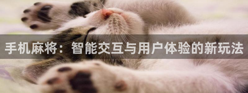 沐鸣2平台负责人：手机麻将：智能交互与用户体验的新玩法