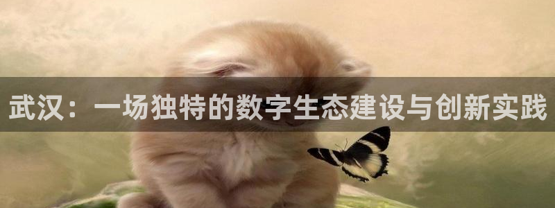 沐鸣2客户端 登录：武汉：一场独特的数字生态建设与创新实践