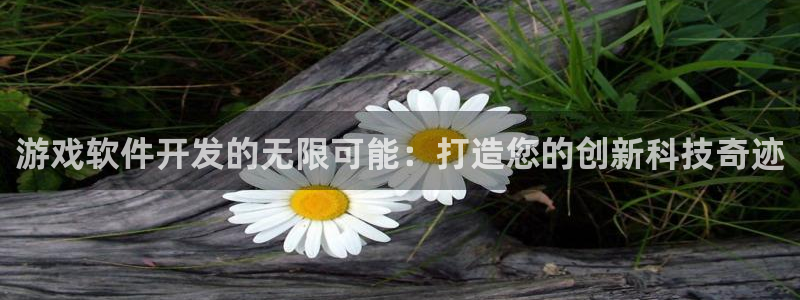沐鸣2注册登入：游戏软件开发的无限可能：打造您的创新科技奇迹