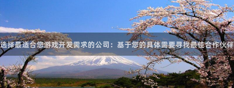 沐鸣娱乐2登录平台是什么：选择最适合您游戏开发需求的公司：基于您的具体需要寻找最佳合作伙伴