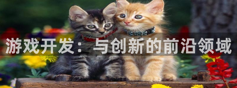 沐鸣2选 37OO735：游戏开发：与创新的前沿领域