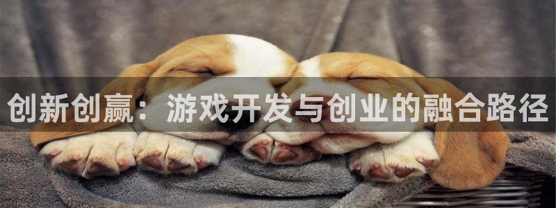 沐鸣2平台在线注册：创新创赢：游戏开发与创业的融合路径