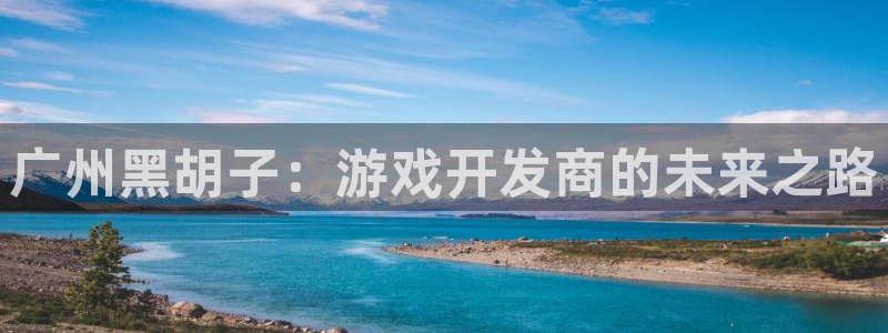 沐鸣2平台主管代理：广州黑胡子：游戏开发商的未来之路