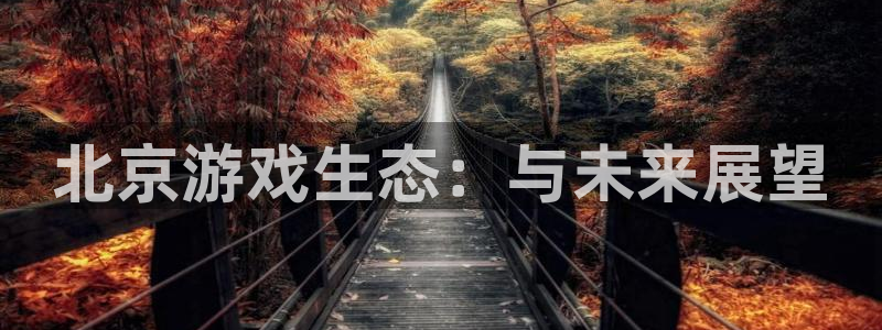 沐鸣2平台负责人：北京游戏生态：与未来展望