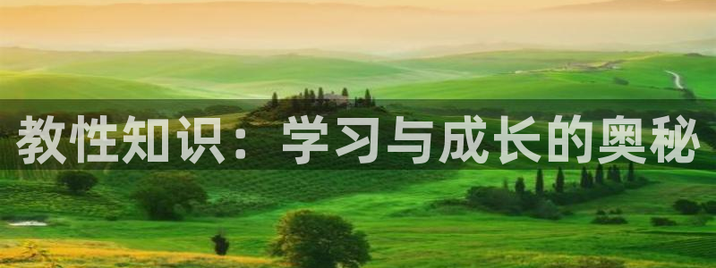 幻影忍者话本小说