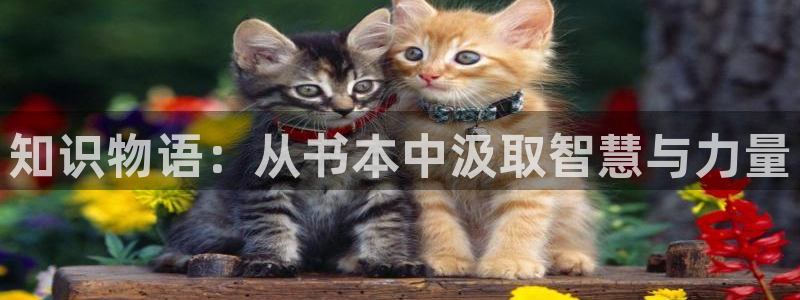 话本小说安全吗：知识物语：从书本中汲取智慧与力量